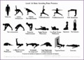 6 Basic Yoga