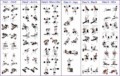 4 Bodybuilding Exercises Chart for Men