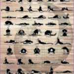 5 Yin Yoga asanas
