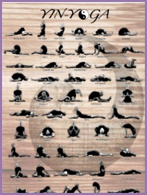 A Poster of Yin Yoga Poses