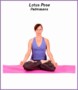 5  Yoga Lotus Pose