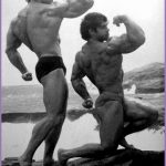 5  Arnold Schwarzenegger Bodybuilding Pose