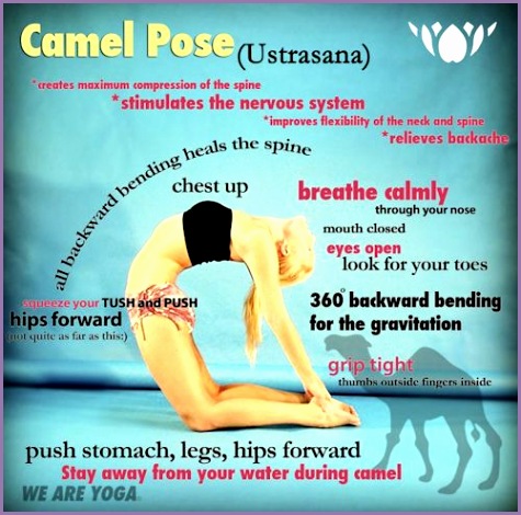Ustrasana Camel Pose Benefits