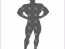 Bodybuilder Silhouette 12001200lfehko Elegant Bodybuilder Silhouette People Royalty Free Vector Clip Art Eps 12001200