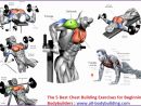 Bodybuilding Chest Exercises 473661sgdwvx Best Of the 5 Best Chest Building Exercises for Beginning Bodybuilders 661473