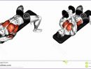 Bodybuilding Chest Exercises 7351300z5koef Unique Bodybuilding Chest Exercises Chart Hd 1300735