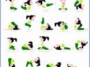 Essential Yoga Poses 804612mwfcgg Lovely Basic Yoga Poses and Names Yoga Poses Yogaposes 612804