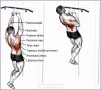 4 Lats Workout