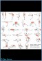 8 List Of Yoga Poses
